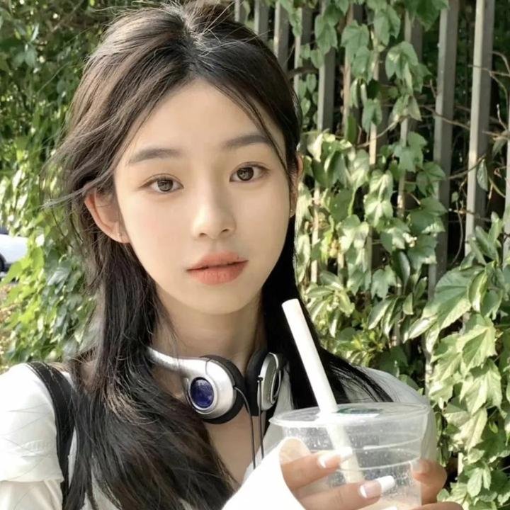 超级救援狗